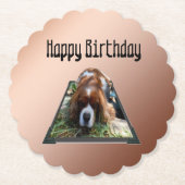 Cavalier Spaniel Popout Art, Kartonnen Onderzetters (Voorkant)