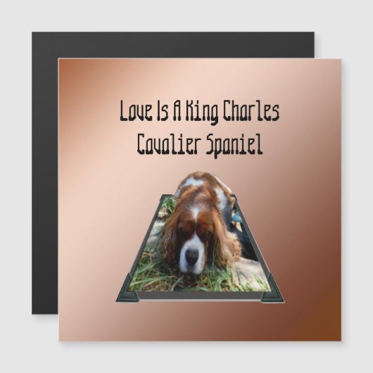 Cavalier Spaniel Popout Art, Magnetische kaart (Voorkant / Achterkant)