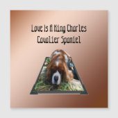 Cavalier Spaniel Popout Art, Magnetische kaart (Voorkant)