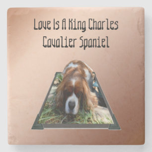 Cavalier Spaniel Popout Art, Stone Onderzetter