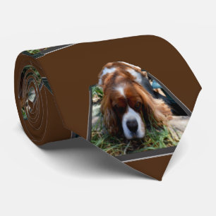 Cavalier Spaniel Popout Art, Stropdas