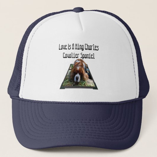 Cavalier Spaniel Popout Art, Truckers Pet (Voorkant)