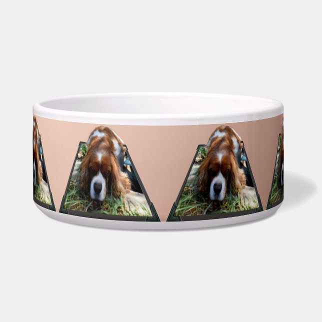 Cavalier Spaniel Popout Kunst,  Voerbakje (Voorkant)