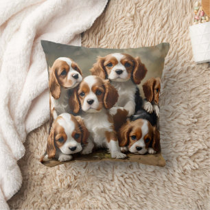 Cavalier Spaniel Puppies gewoon te Schattige, Kussen