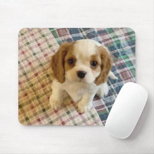 Cavalier Spaniel Puppy Mousepad Muismat (Met muis)