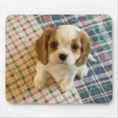 Cavalier Spaniel Puppy Mousepad Muismat (Voorkant)