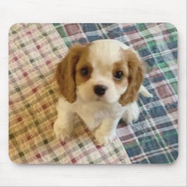Cavalier Spaniel Puppy Mousepad Muismat