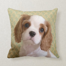 Cavalier Spaniel Puppy Sierkussen