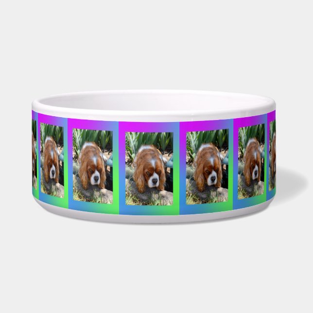Cavalier Spaniel Sooky Gezicht,   Voerbakje (Voorkant)