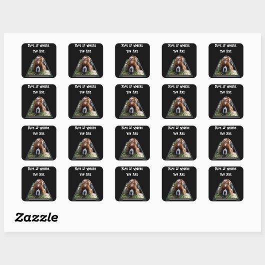 Cavalier Spaniel, Vierkante Stickers (Vel)