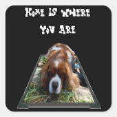 Cavalier Spaniel, Vierkante Stickers (Voorkant)