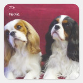 Cavalier Spaniels Gift Label Stickers (Voorkant)