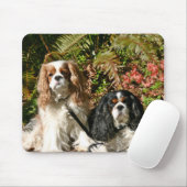 Cavalier Spaniels Mousepad Muismat (Met muis)