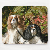 Cavalier Spaniels Mousepad Muismat (Voorkant)