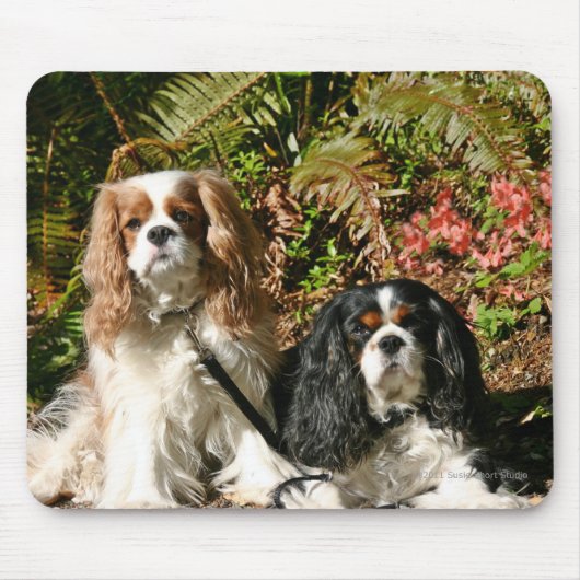 Cavalier Spaniels Mousepad Muismat (Voorkant)