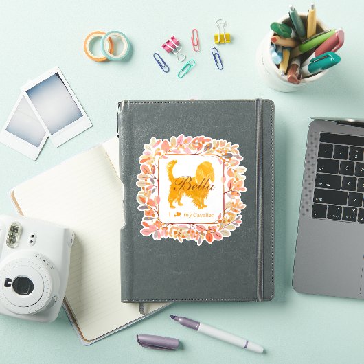 Cavalier Sticker - Gepersonaliseerd Pastel Oranje (iPad Cover)