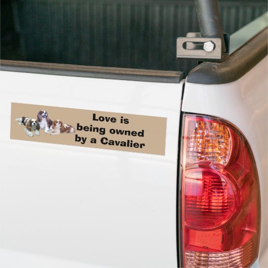 Cavalier Threous Bumpersticker (Op Truck)