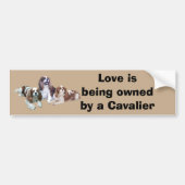 Cavalier Threous Bumpersticker (Voorkant)