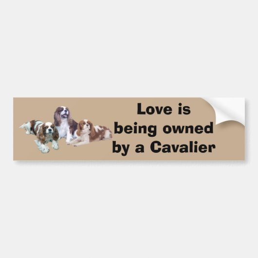 Cavalier Threous Bumpersticker (Voorkant)
