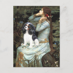 Cavalier (Tri6) - Ophelia Seated Briefkaart