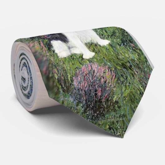 Cavalier (Tri) - Bij de Seine Stropdas (Opgerold)