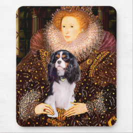 Cavalier (Tri) - Koningin Muismat