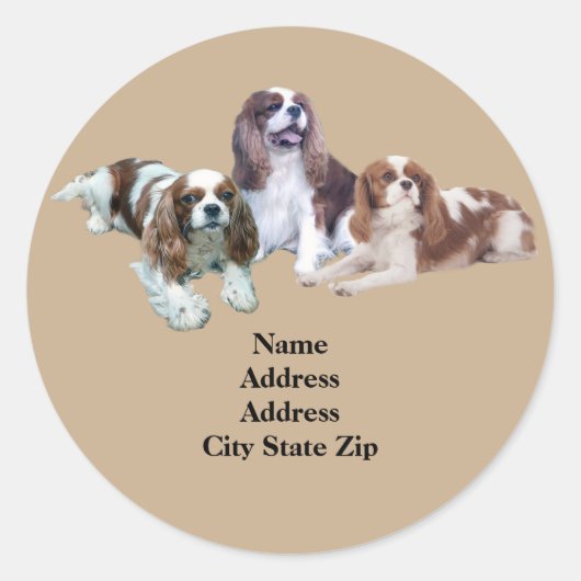 Cavalier Trio adreslabel Ronde Sticker (Voorkant)