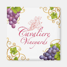 Cavaliere Vineyards Magnet