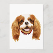 CavalierKingCharlesSpaniel_Epagneul face002 Briefkaart (Voorkant)