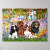 Cavaliers (4) - Tuin Poster (Voorkant)