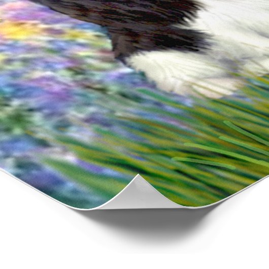 Cavaliers (4) - Tuin Poster (Hoek)