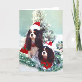 Cavaliers bij Kerstmis Feestdagen Kaart