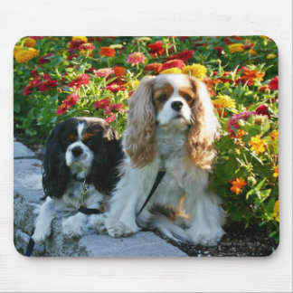 Cavaliers en Zinnias Mousepad Muismat