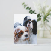 Cavaliers in de sneeuw briefkaart (Staand voorkant)