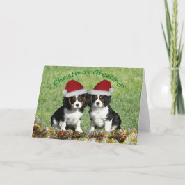 Cavaliers in Santa Hats Feestdagen Kaart