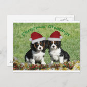 Cavaliers in Santa Hats Feestdagenkaart (Voorkant / Achterkant)