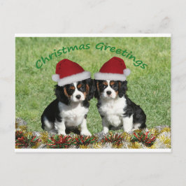 Cavaliers in Santa Hats Feestdagenkaart