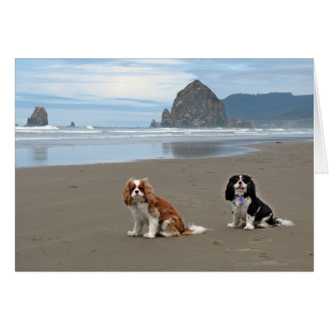 Cavaliers @ Kannon Beach, Oregon (Voorkant Horizontaal)