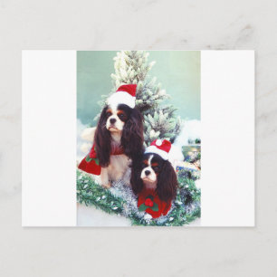 Cavaliers met kerst feestdagenkaart