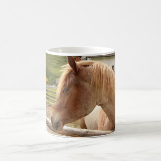 Cavallo met gouden manen - fotomok koffiemok
