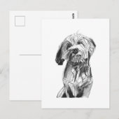 Cavapoo Ansichtkaart – Houtskool Hondenillustratie Briefkaart (Voorkant / Achterkant)