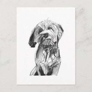 Cavapoo Ansichtkaart – Houtskool Hondenillustratie Briefkaart