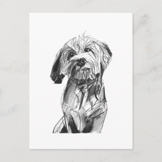 Cavapoo Ansichtkaart – Houtskool Hondenillustratie Briefkaart (Voorkant)