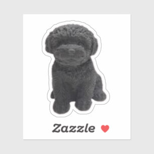Cavapoo Cavoodle Cockerpoo Puppy zwarte hond Sticker