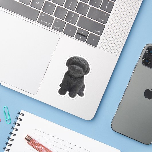 Cavapoo Cavoodle Cockerpoo Puppy zwarte hond Sticker (Laptop met iPhone)