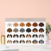 Cavapoo, Cavoodle hondenmix Acryl Bord (Huwelijk)