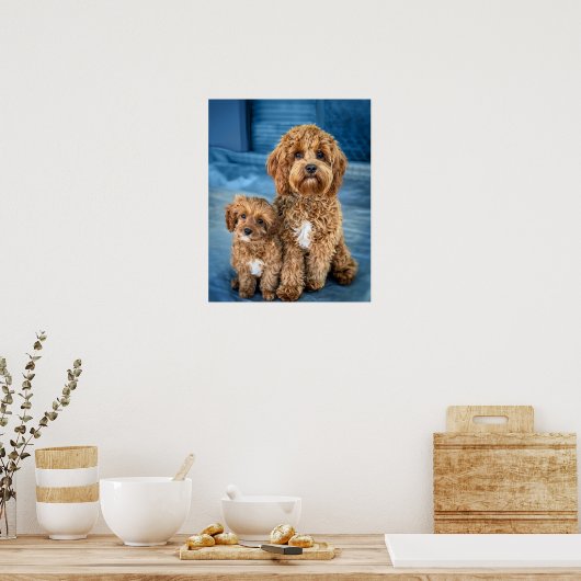 Cavapoo Dog Puppy Schattig Poster (Keuken)