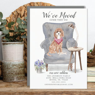 Cavapoo Dog   Verplaatsingsaankondiging Aankondiging