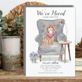 Cavapoo Dog | Verplaatsingsaankondiging Aankondiging