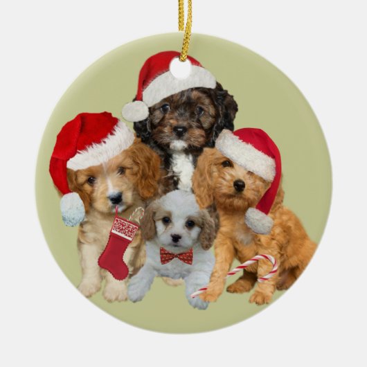 Cavapoo Let it Snow Ornament (Voorkant)